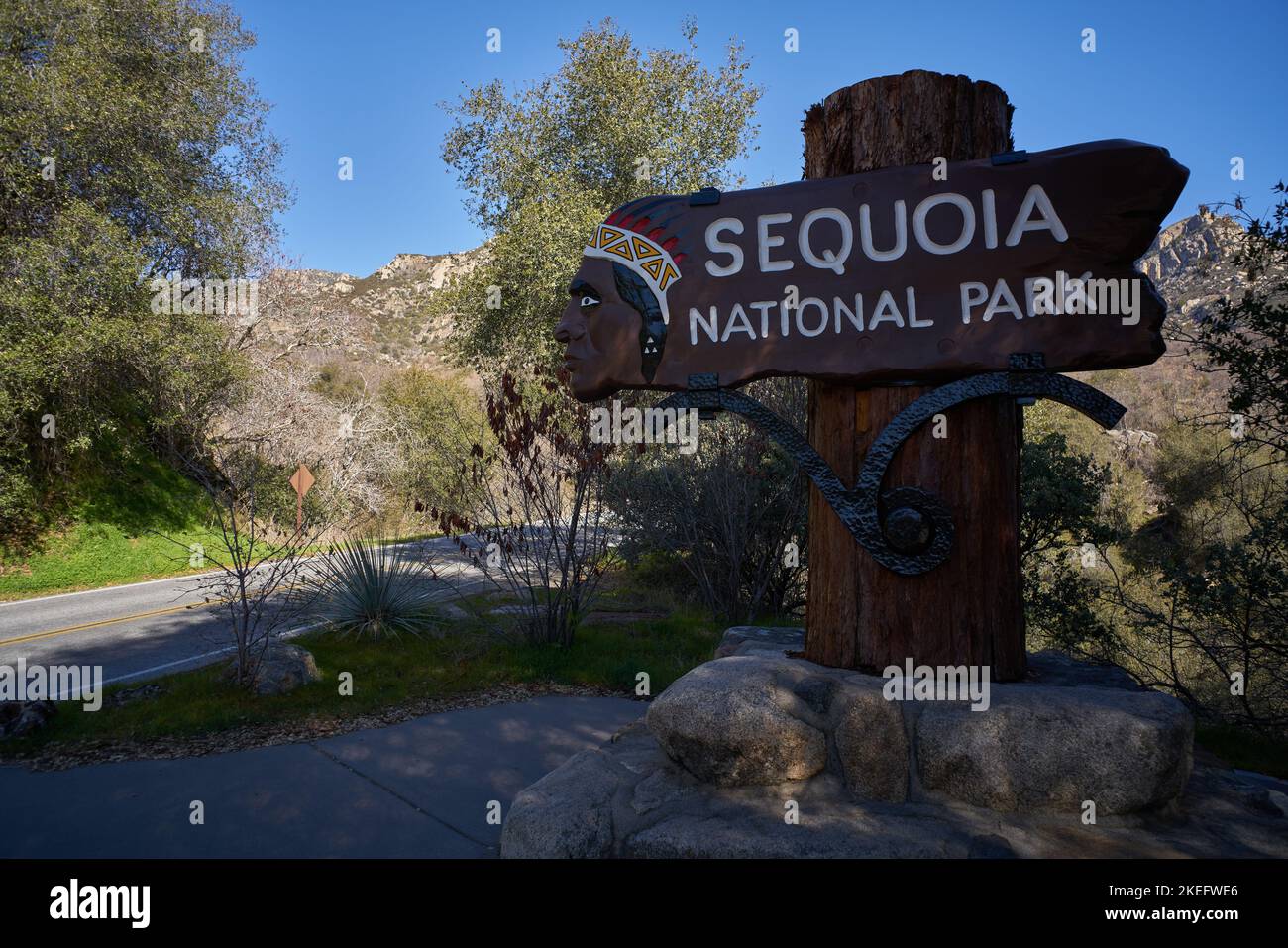Sequoia National Park Stock Photo