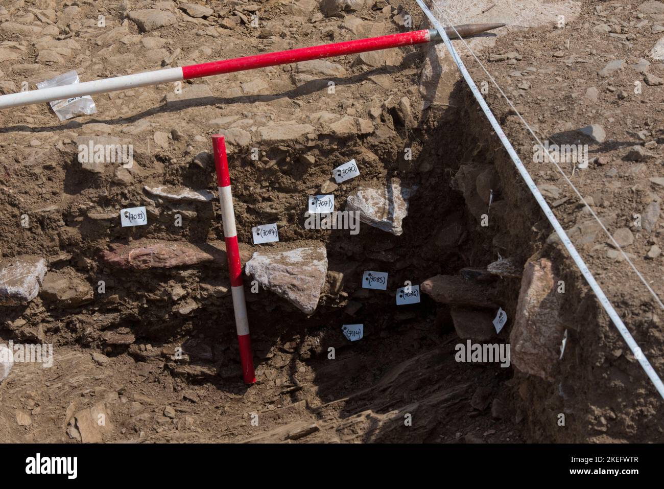 university students on an archeological field course, as part of their