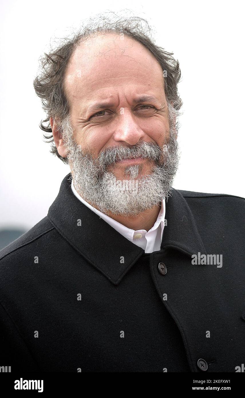 Rome, Italy. 12th Nov, 2022. Luca Guadagnino attends the 'Bones And All' photocall at Hotel De La Ville on November 12, 2022 in Rome, Italy. Credit: dpa/Alamy Live News Stock Photo