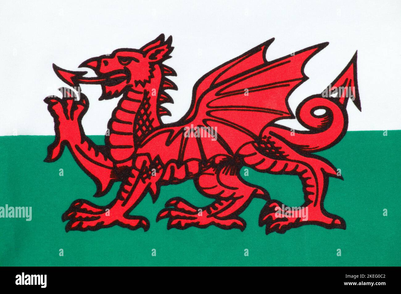 The national flag of Wales known as Y Ddraig Goch (The Red Baron) sadly not included in the Union Jack, stock photo image Stock Photo