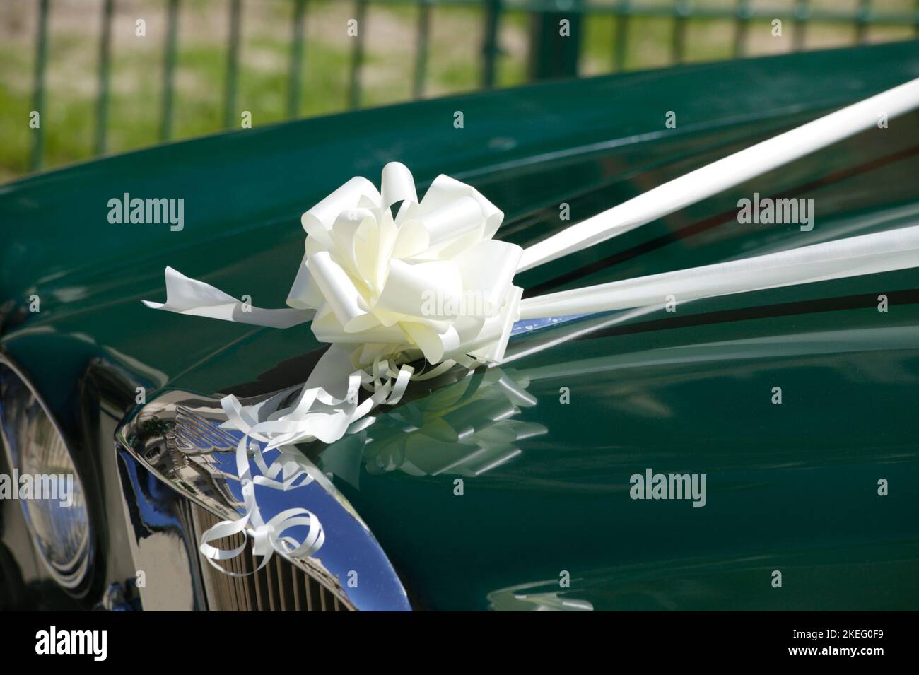 Wedding car with a white silk ribbon tied in a knot, stock photo image ...