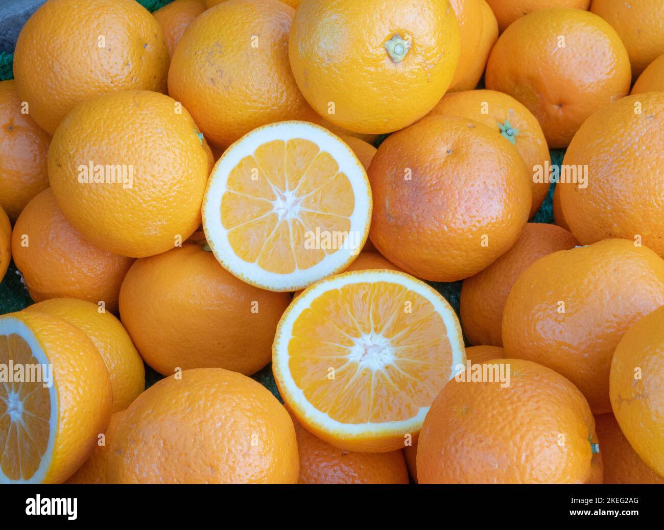 Round, fruity, delicious the orange is the most commonly grown citrus