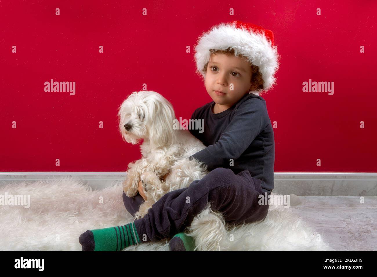 photo of boy with santa claus hat hugging his puppy Stock Photo