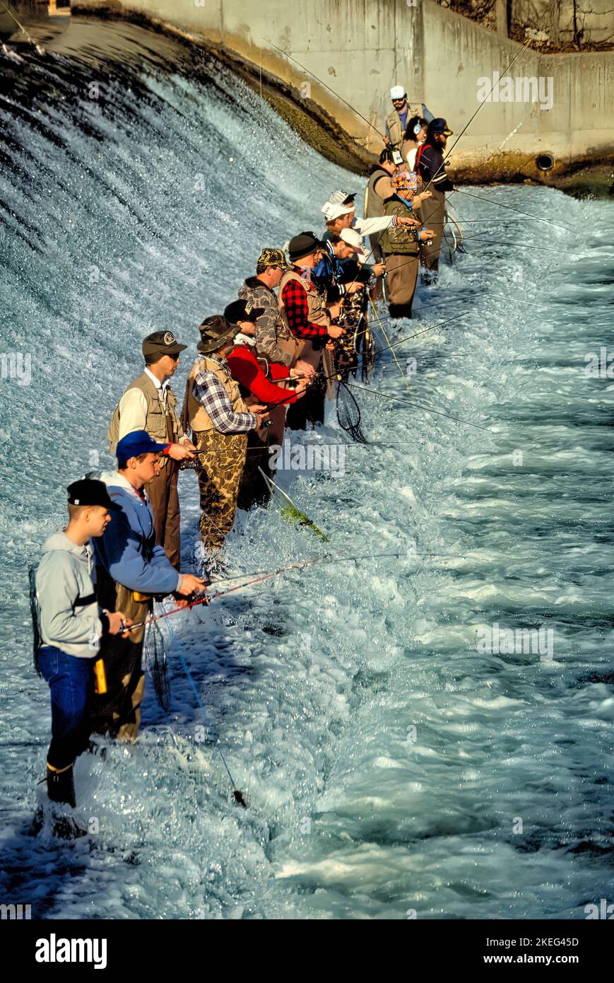 Trout fishermen gather at a prized spot along the base of the dam for the March 1 opening day of Missouri Trout season at Bennett Spring State Park Stock Photo