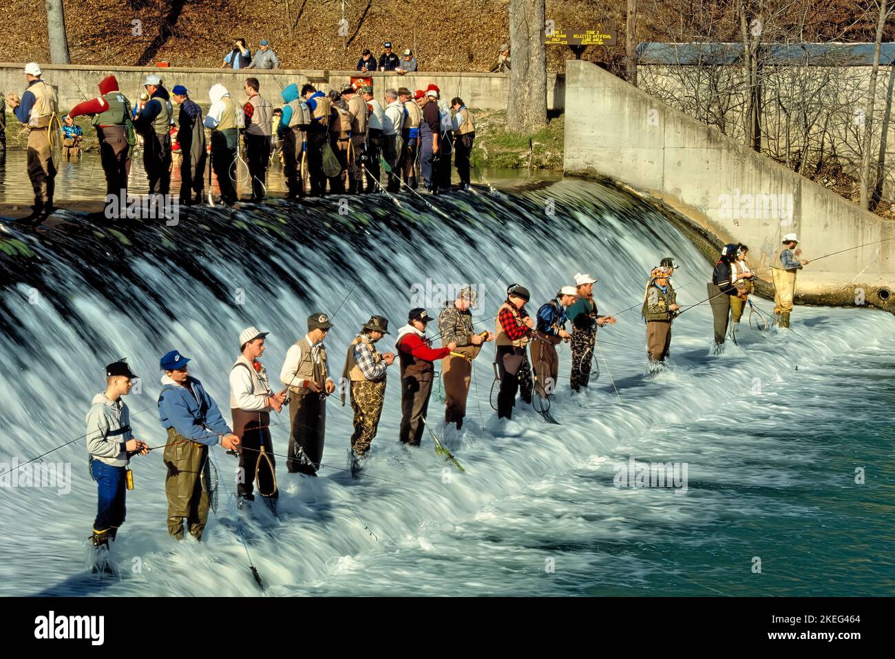 Trout fishermen gather at a prized spot along the base of the dam for March 1 opening day of Missouri Trout season at Bennett Spring State Park Stock Photo