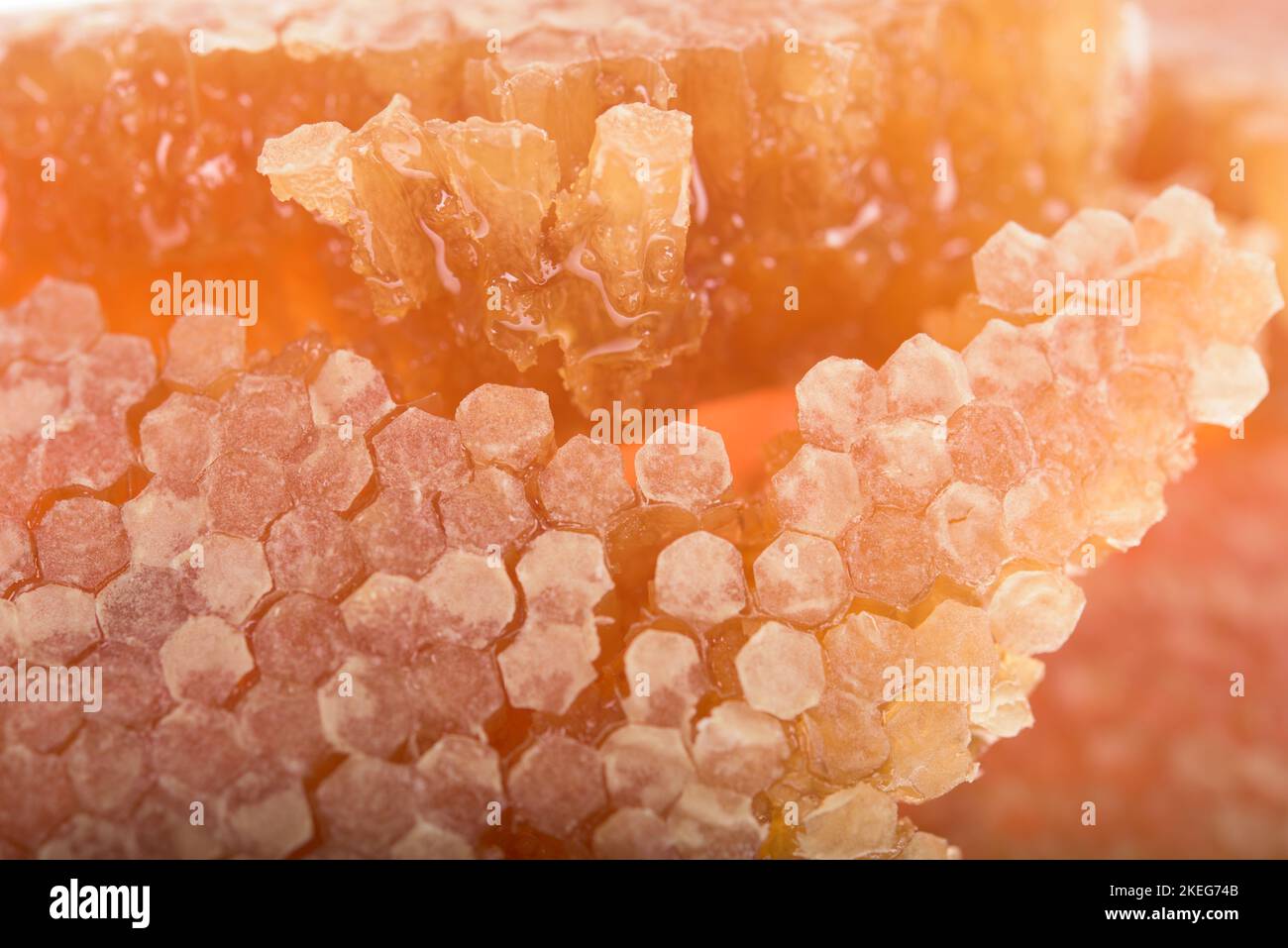Bee cells grid hi-res stock photography and images - Alamy