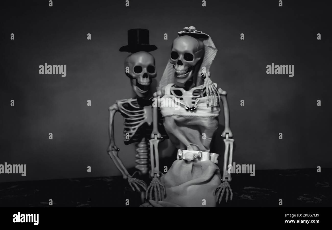 Fall 2022 - Black and White of a  Happily Married Skeleton Couple Posing for Wedding Poto Stock Photo