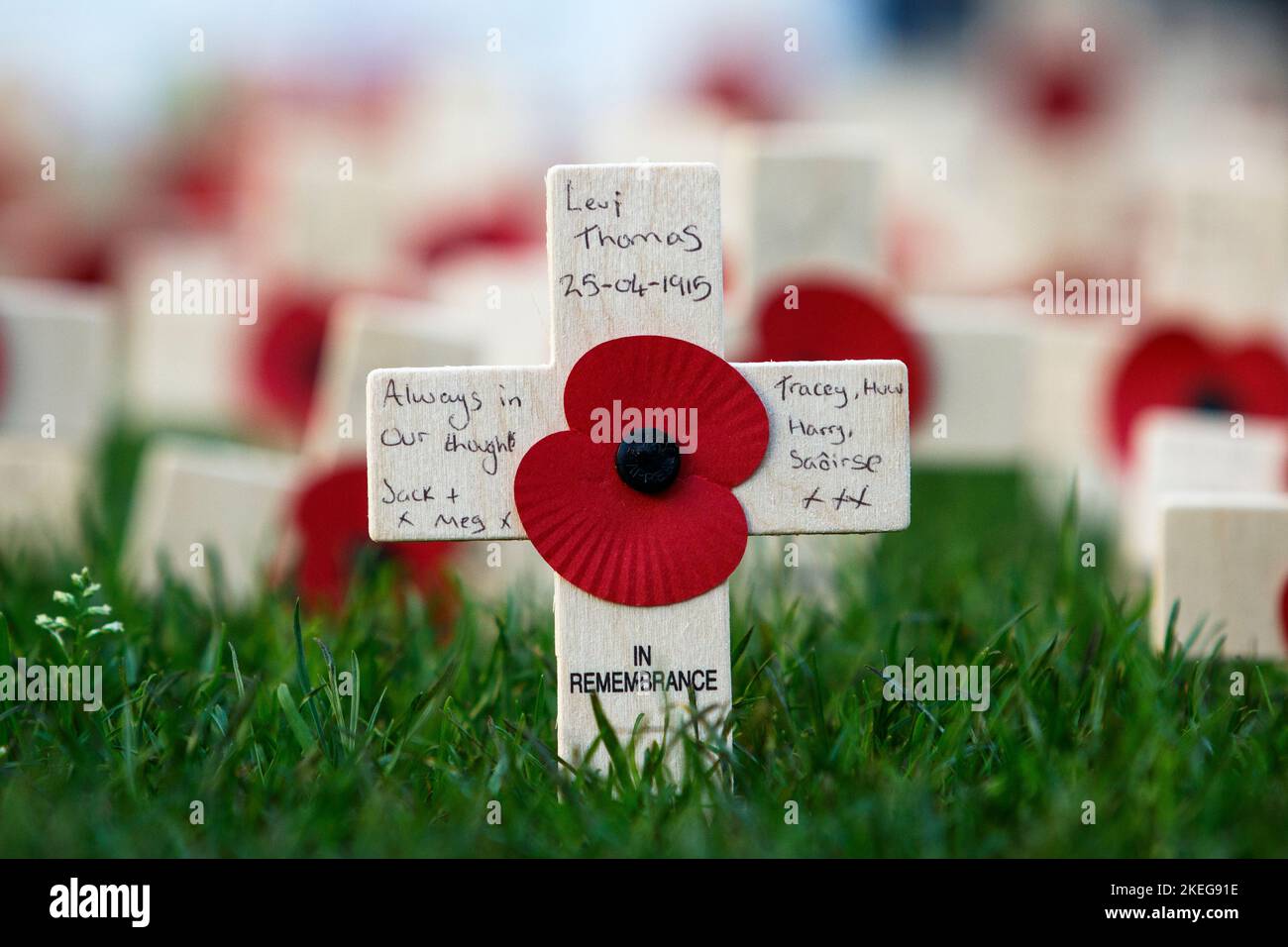 Bath, UK. 12th Nov, 2022. Poppies on crosses are pictured outside Bath Abbey ahead of Remembrance Sunday memorial events. Credit: Lynchpics/Alamy Live News Stock Photo