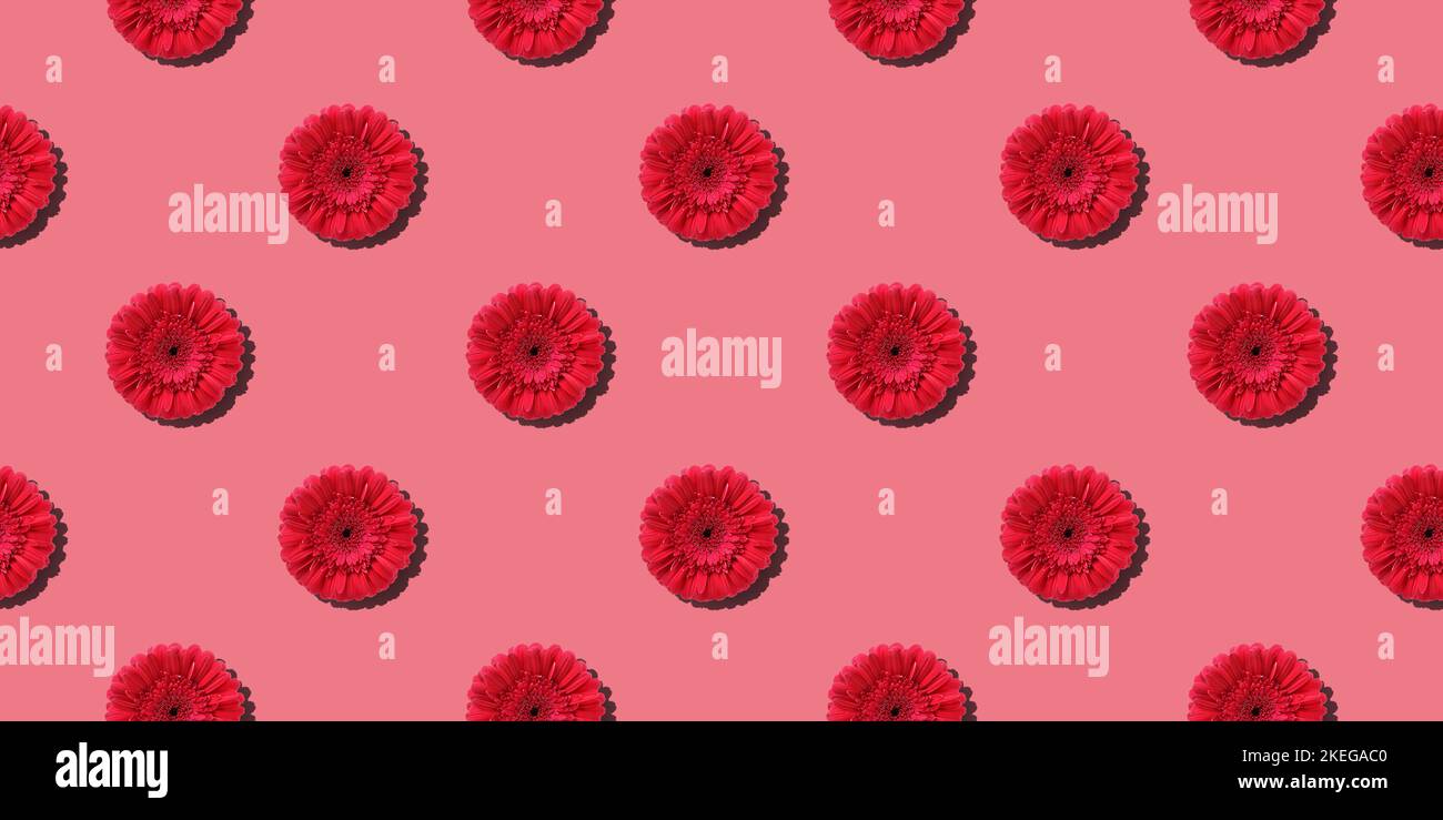 Gerbera daisies seamless pattern.  Endless background with red flowers. Flat lay floral composition Stock Photo