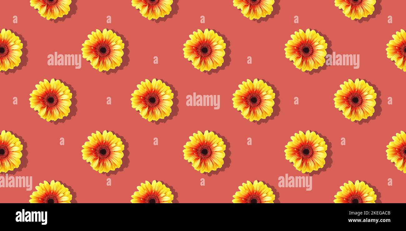 Gerbera daisies seamless pattern. Yellow flowers on red background.  Flat lay floral composition Stock Photo