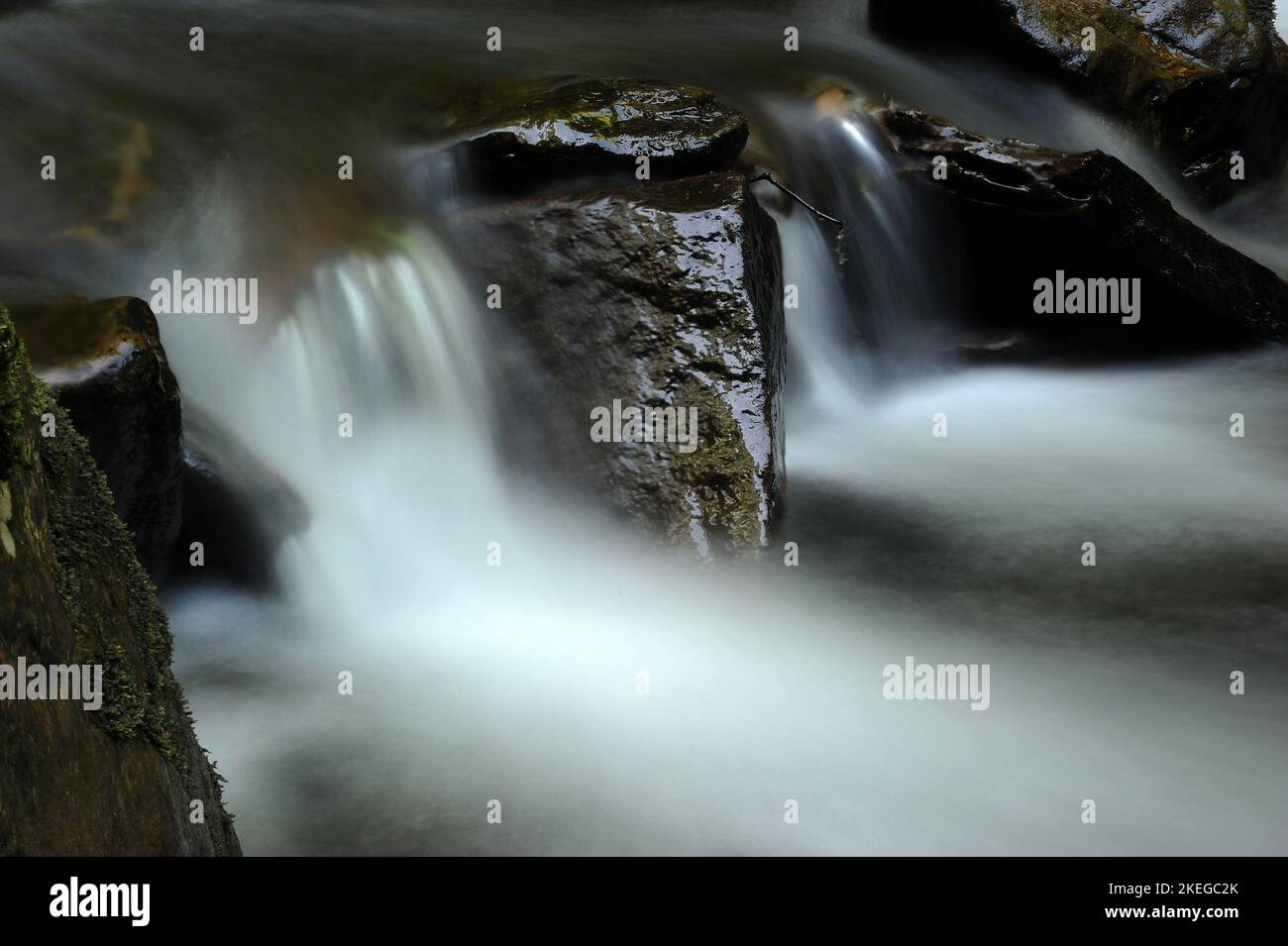 Melincourt Brook just below Melincourt Falls. Stock Photo