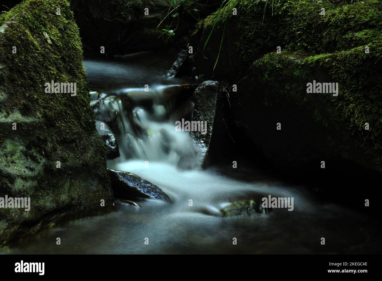 Melincourt Brook just below Melincourt Falls. Stock Photo