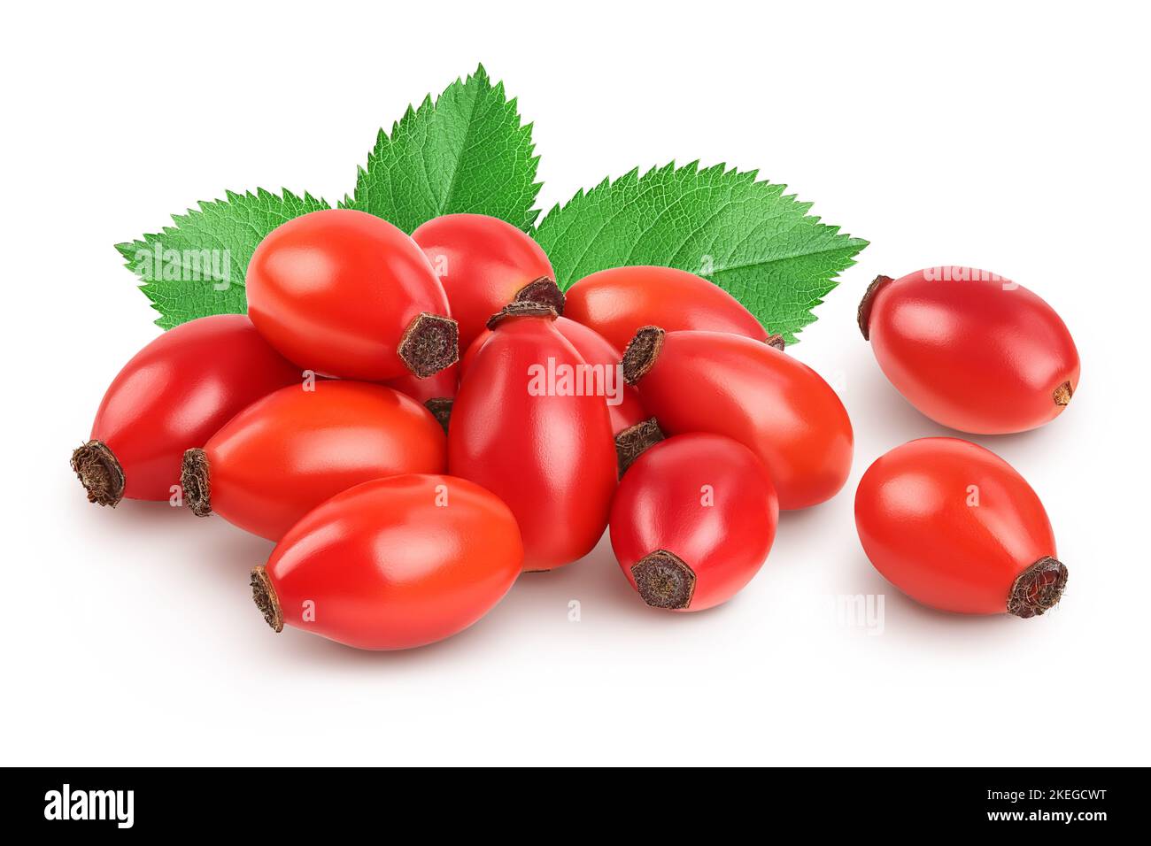 Rose hip isolated on a white background with full depth of field Stock ...