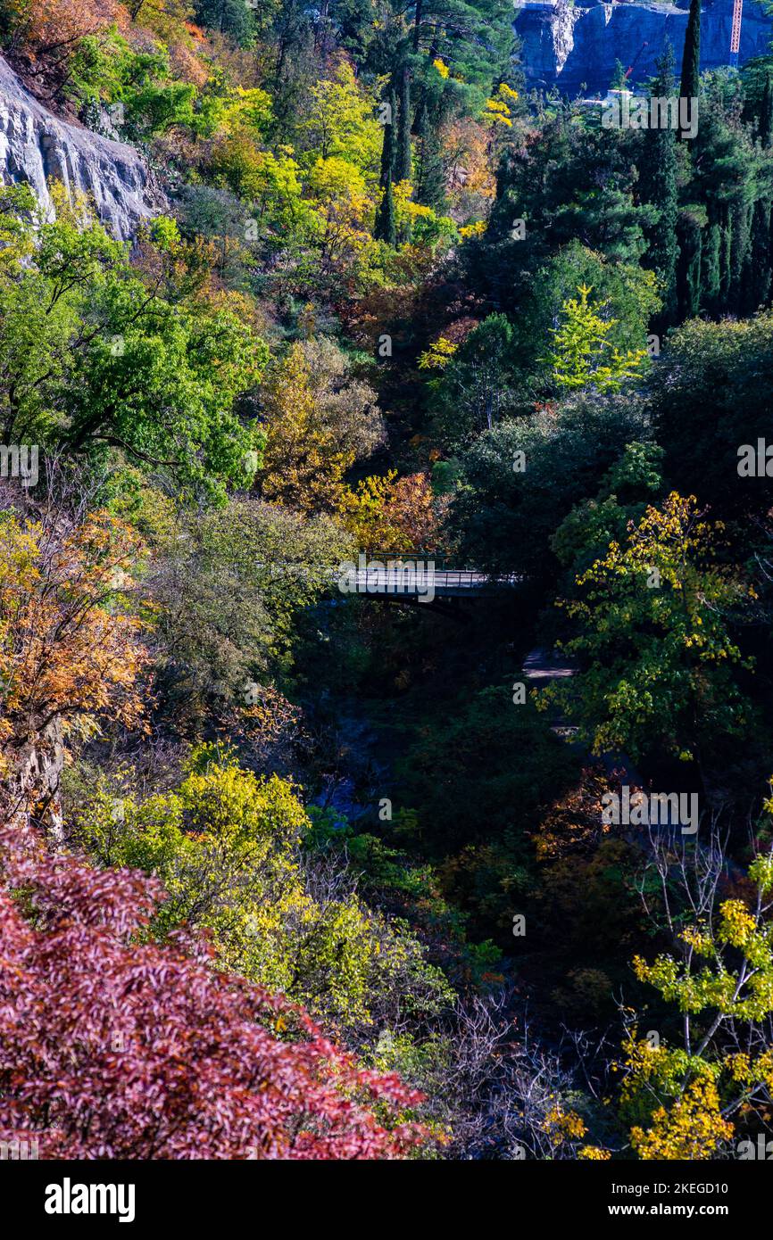 Autumnal botanical garden in Old Tbilisi, capital city of Stock