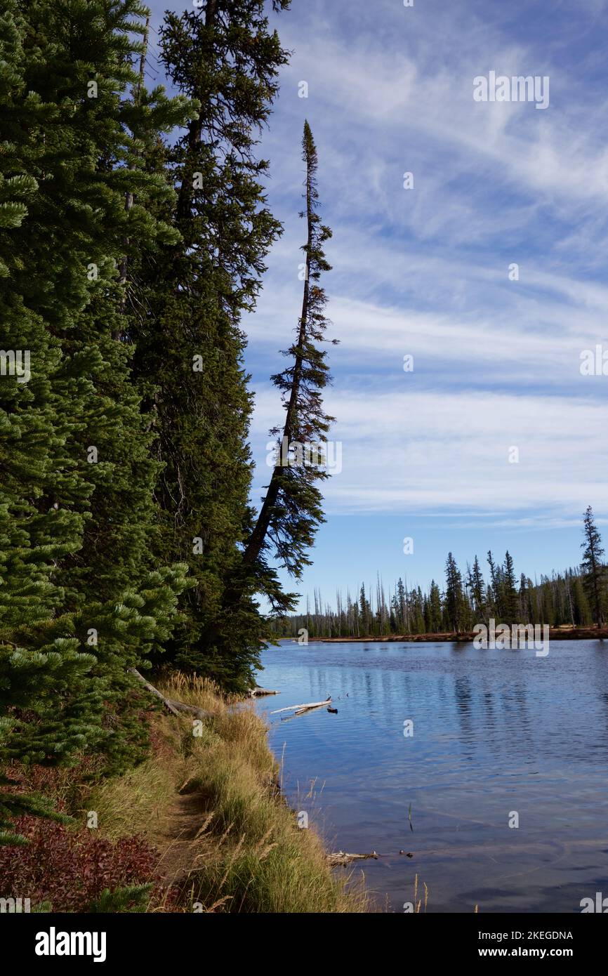 Vertical shot tranquil lake hi-res stock photography and images - Alamy