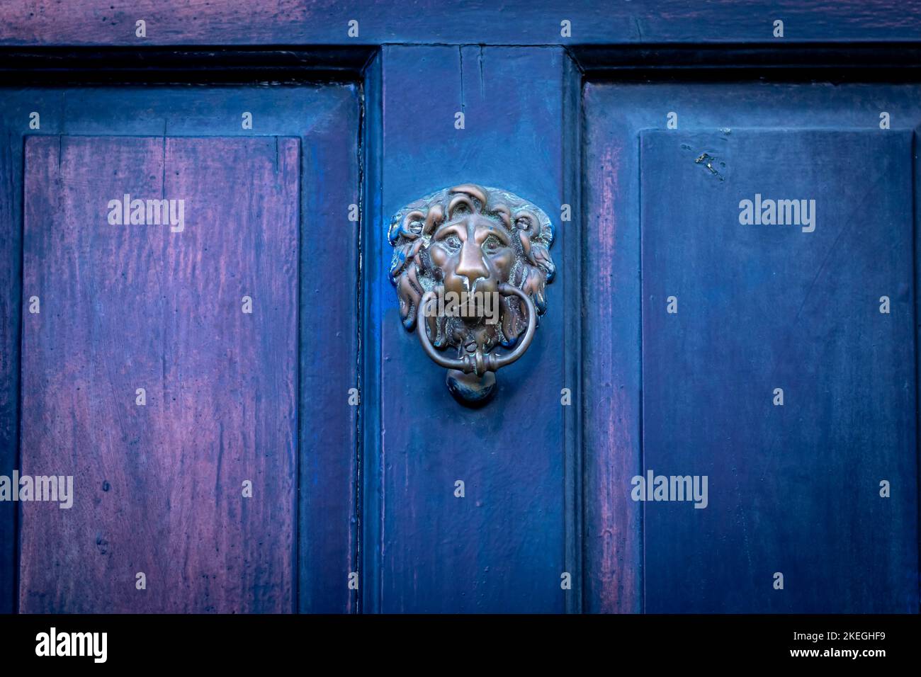 Lion's head door knocker on a blue wooden front door Stock Photo