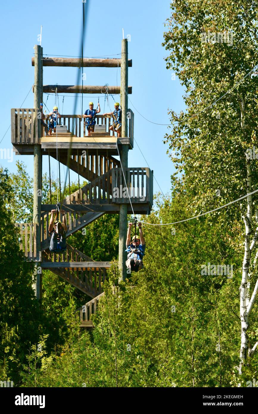 Children high adventure on zipline course through forest canopy with