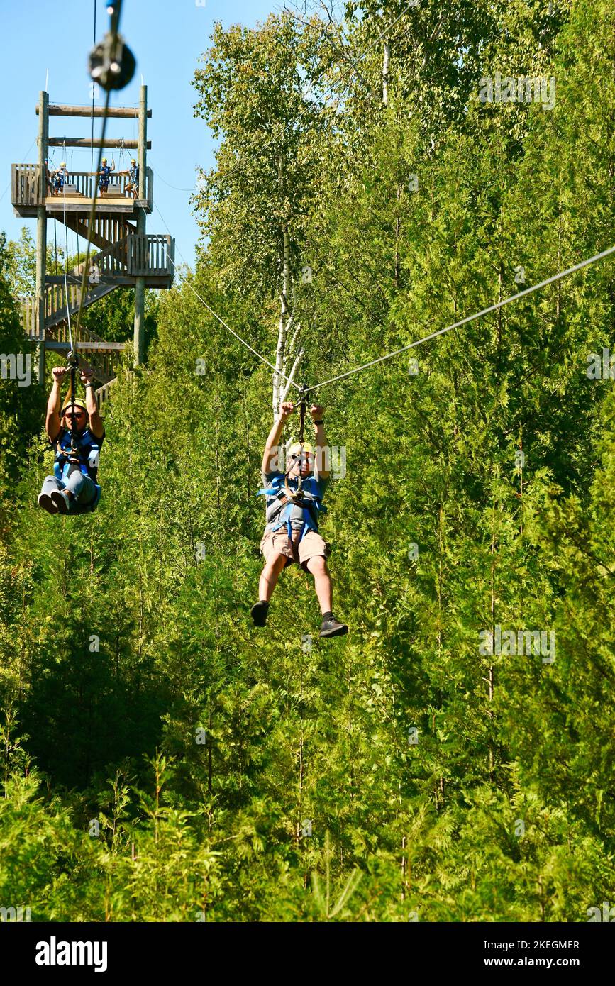 Children high adventure on zipline course through forest canopy with