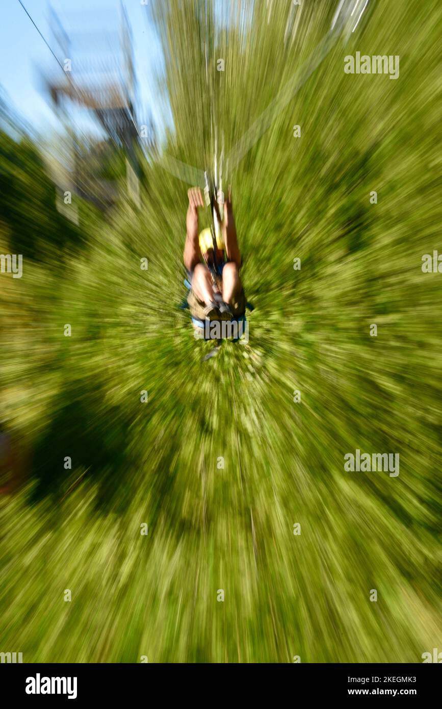 Canopy tours’ forest zipline hires stock photography and images Alamy
