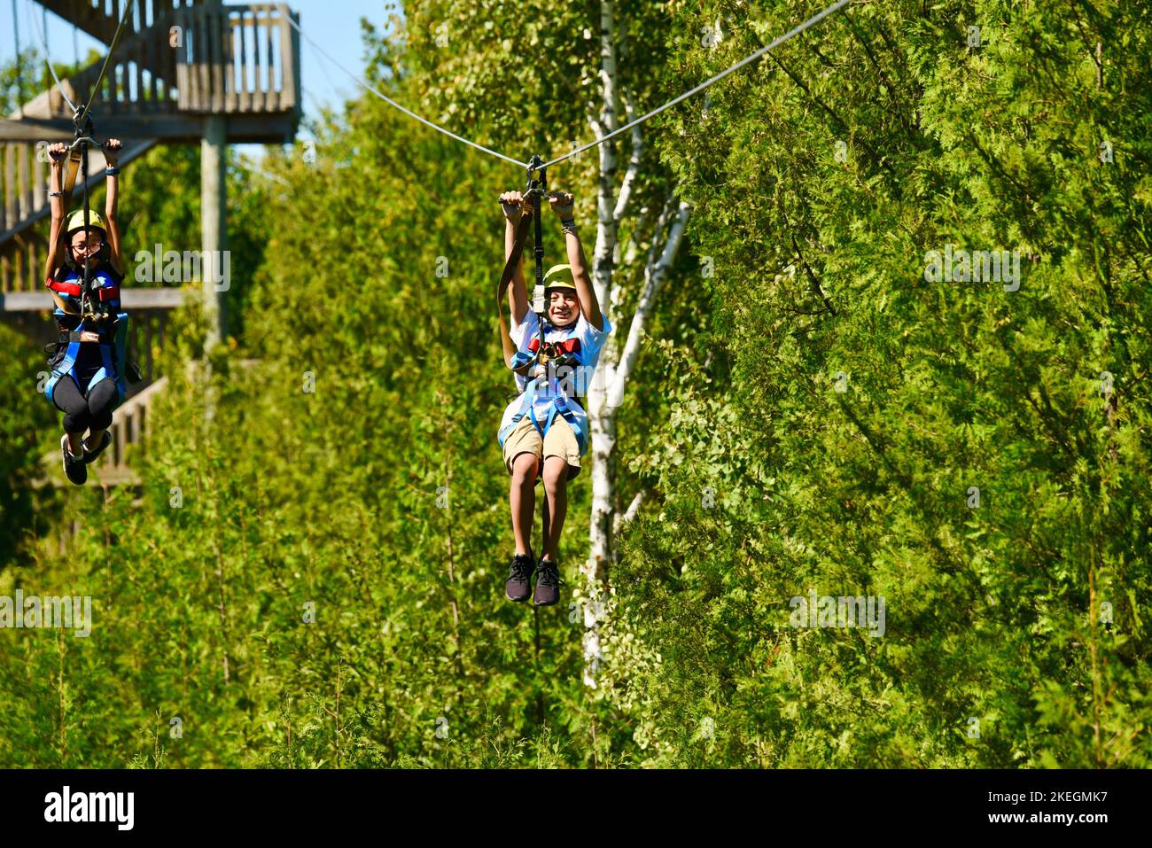 Children high adventure on zipline course through forest canopy with