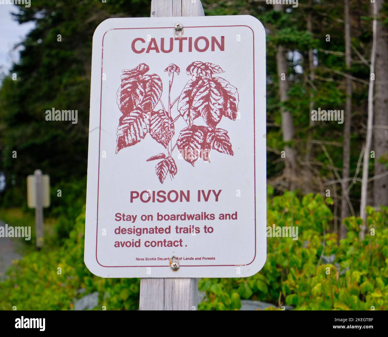 Warning sign in outdoor park: Caution Poison Ivy Stock Photo - Alamy