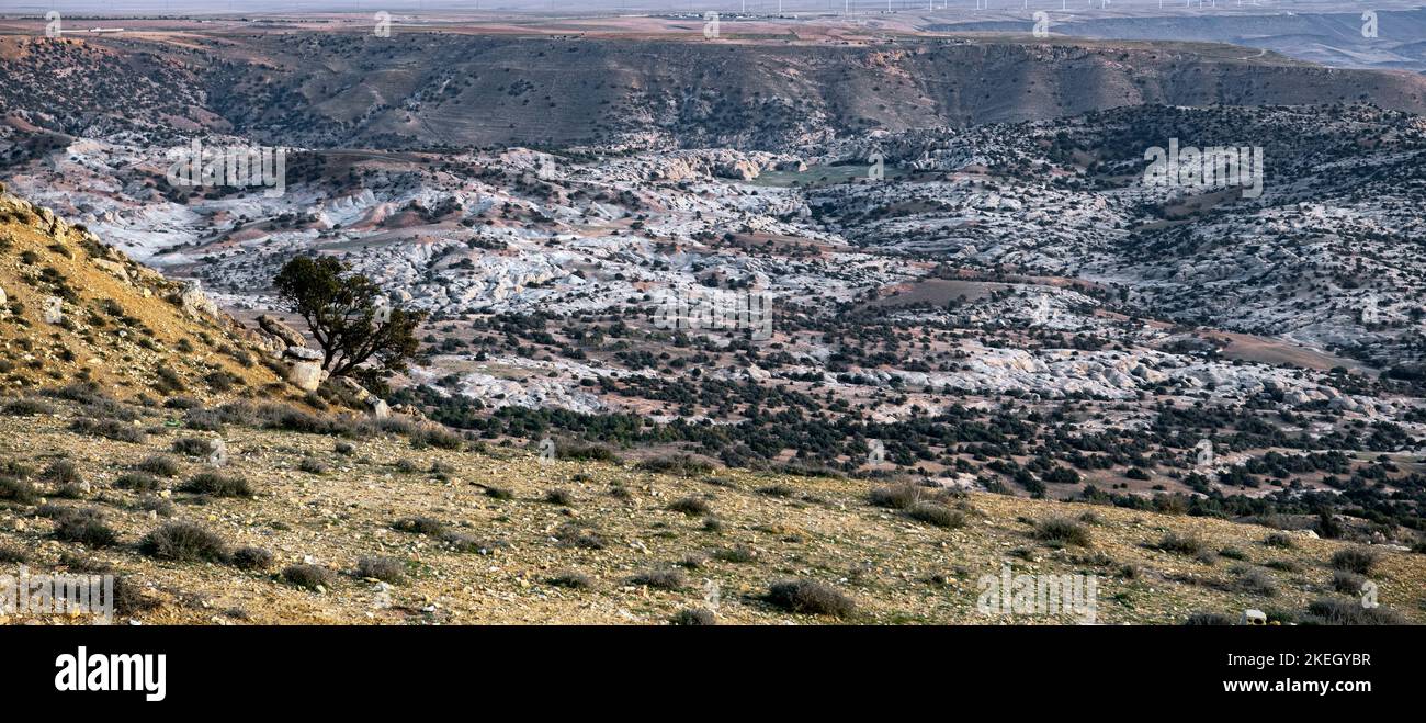 Landscape Dana Bioshere Reserve Jordan Stock Photo