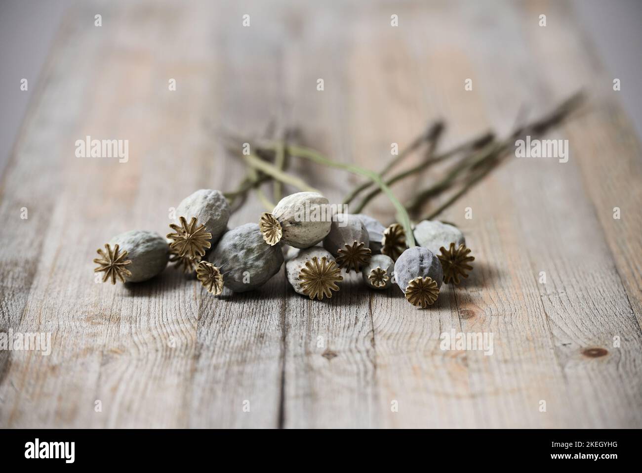 dried poppy seed heads on wooden table Stock Photo