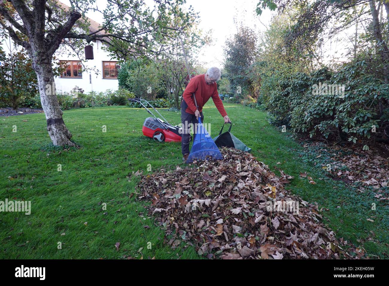 Rechen Rasen Laub garten rasen hi-res stock photography and images - Alamy