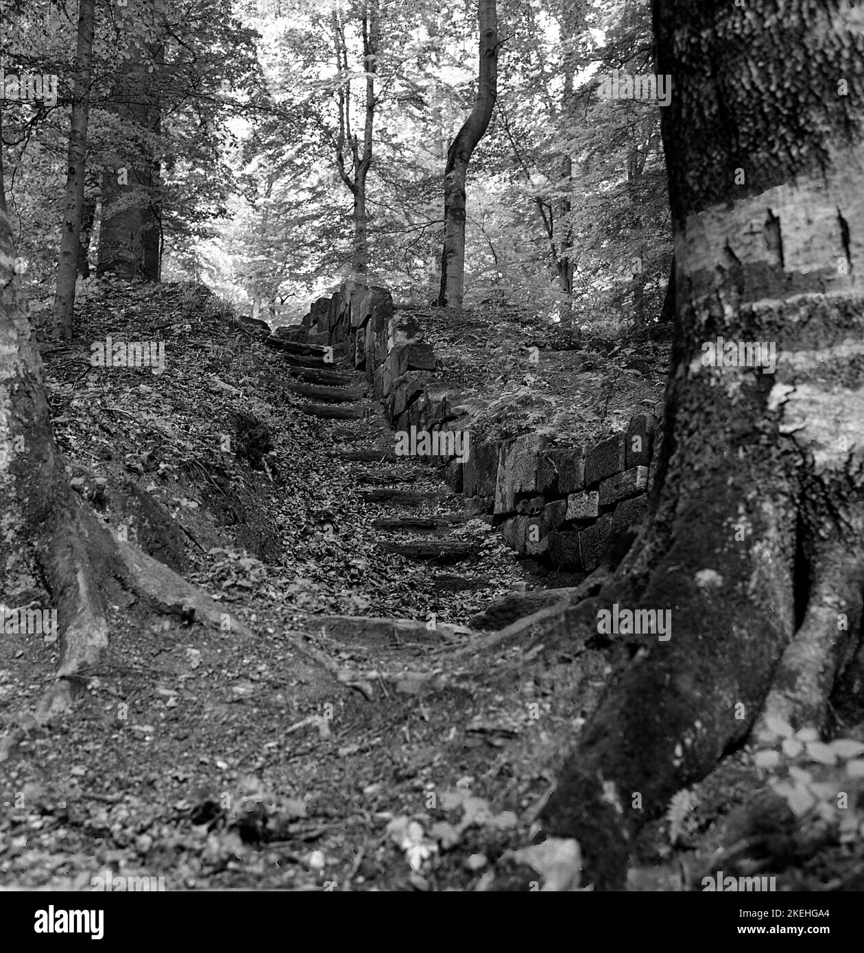 Hunedoara County, Romania, 1975. Steps to the site of the ancient Sarmizegetusa Regia Fortress, the capital of the Dacians, built in the 1st century B.C. Stock Photo