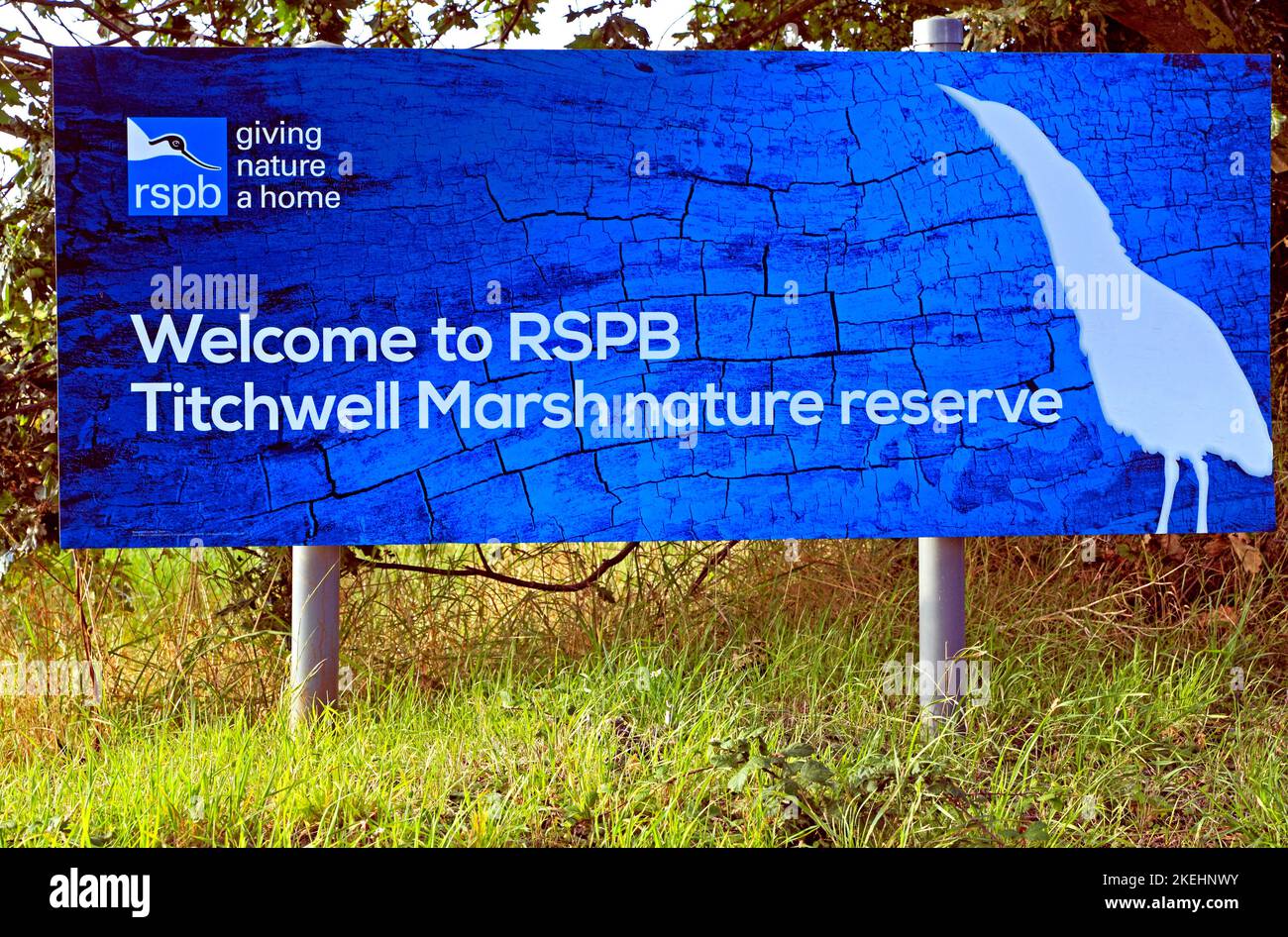 RSPB, Bird Reserve, Titchwell Marsh Reserve, Norfolk, England Stock Photo