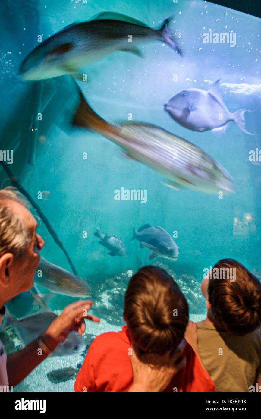 Newport News Virginia,Virginia Living Museum,history,collections