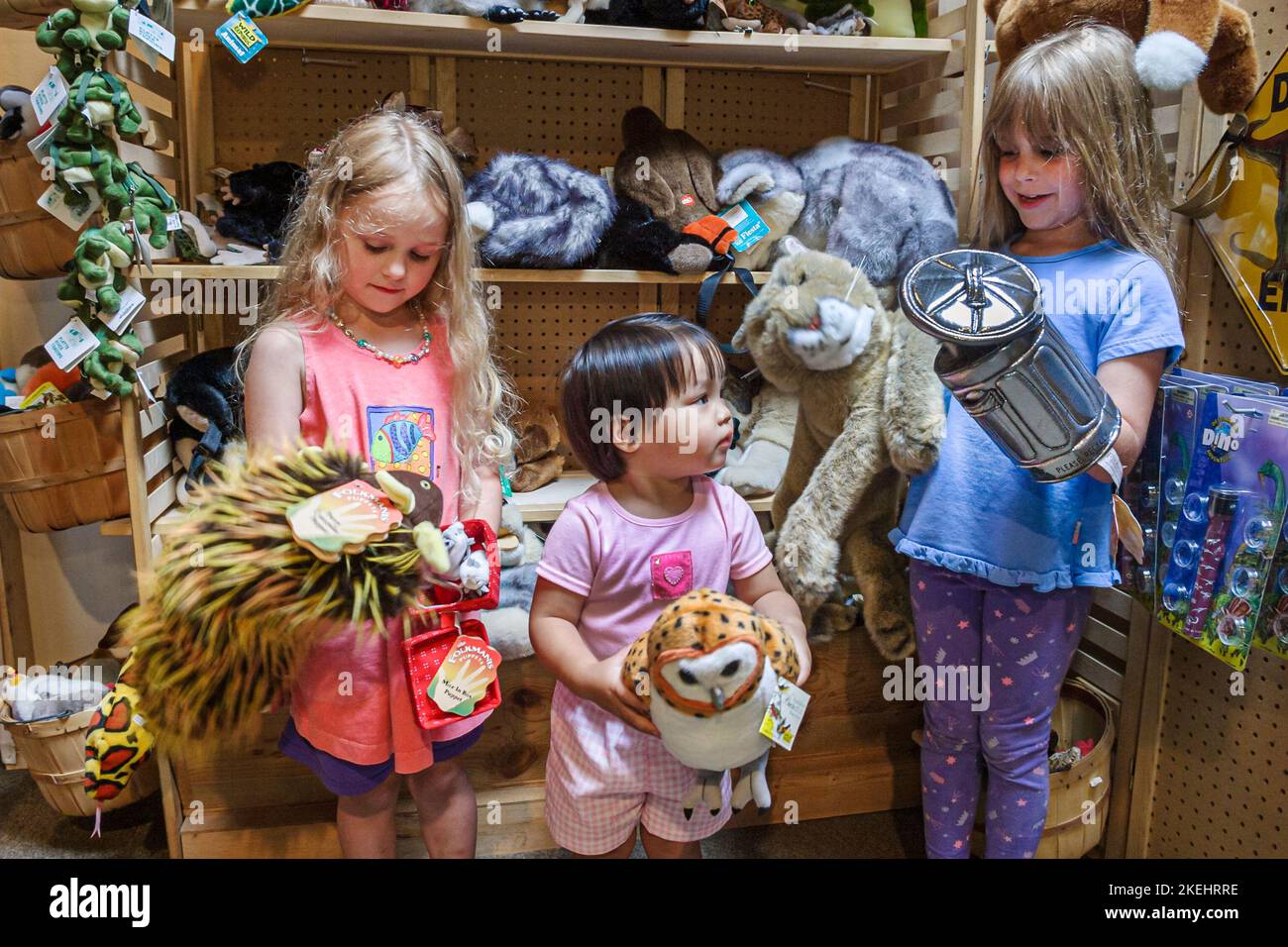 Newport News Virginia,Virginia Living Museum,history,collections,exhibit exhibition collection,promote,product products display sale,education,learn l Stock Photo