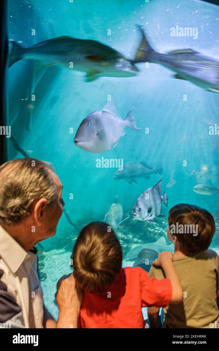 Newport News Virginia,Virginia Living Museum,history,collections