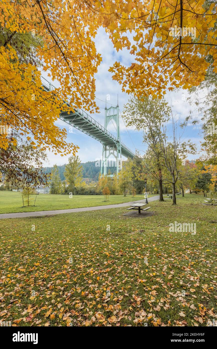 Autumn leaves and fall foliage with the St Johns Bridge at Cathedral