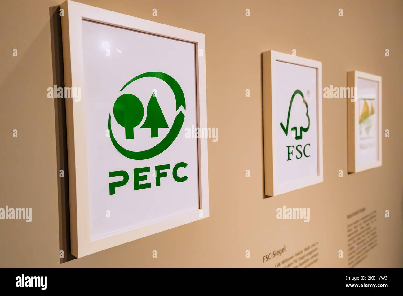 26 july 2022 munster germany logos of non profit organizations pefc