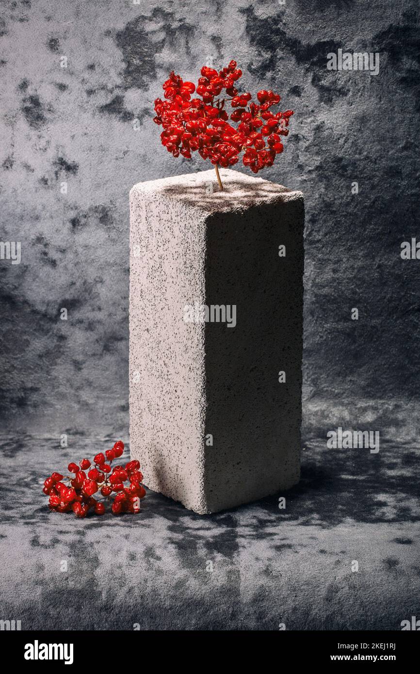 Still life with dried berries of red viburnum on a brick Stock Photo