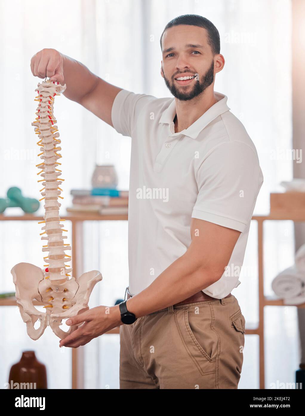 Chiropractor, spine of skeleton and portrait of doctor for healthcare, medical and orthopedic anatomy. Physiotherapy, surgery and medicine with man Stock Photo