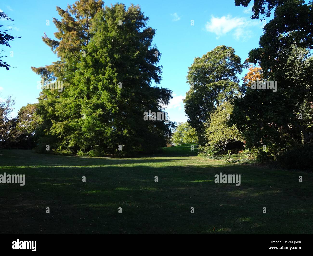 Wave Hill is a 28acre estate in the Hudson Hill section of Riverdale