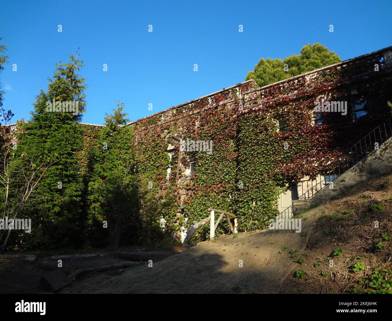 Riverdale hires stock photography and images Alamy