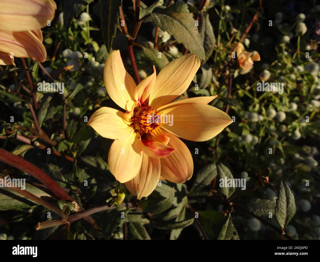 Wave Hill is a 28acre estate in the Hudson Hill section of Riverdale