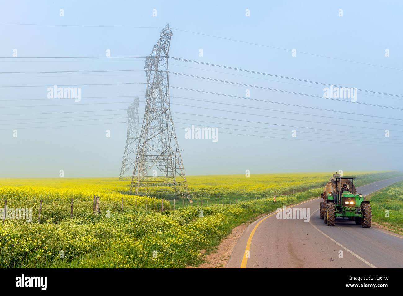 Durbanville, South Africa - Sep 16, 2022: A power transmission route, yellow canola fields and a tractor in fog along Malanshoogte Road near Durbanvil Stock Photo