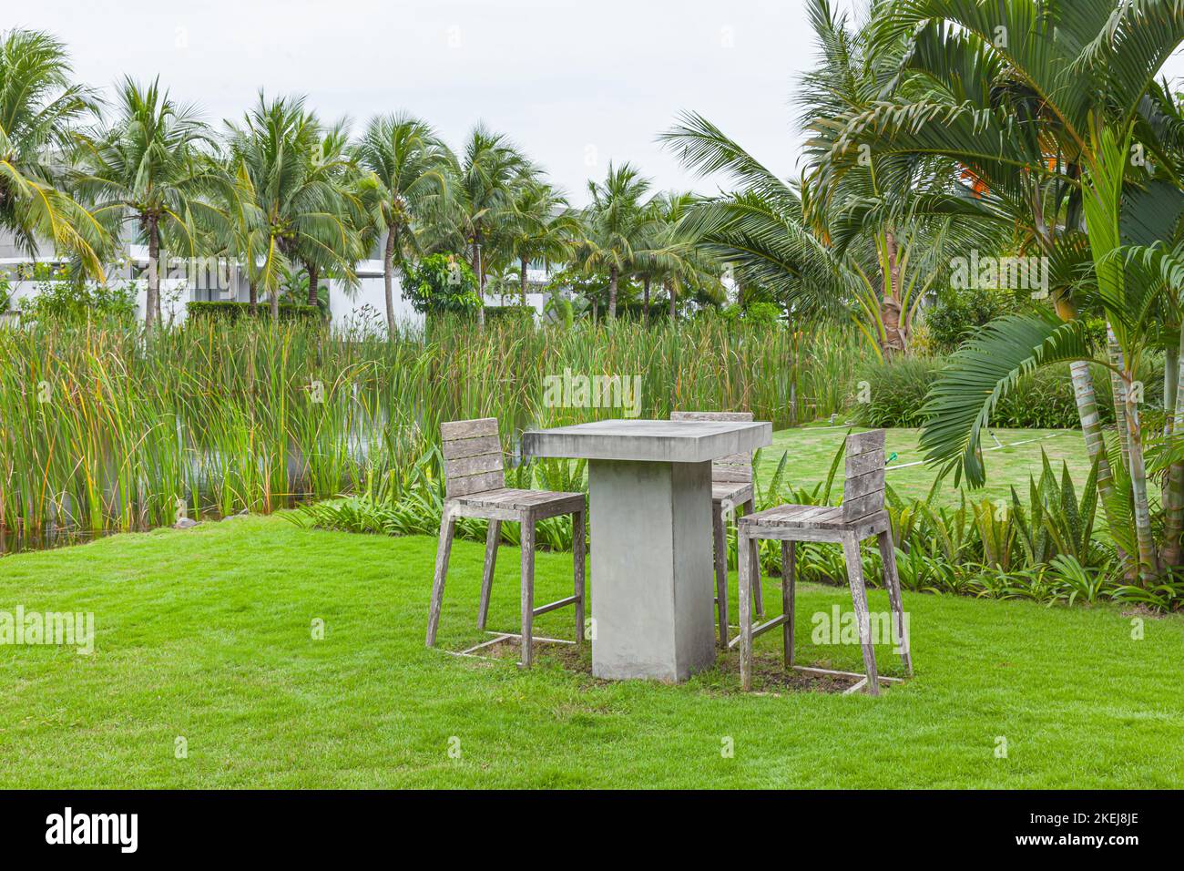 Concrete, Cement Table and wooden chair in gray neutral tones on