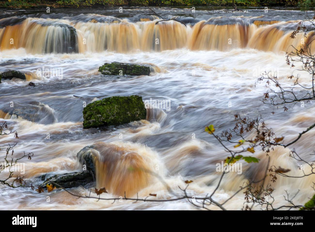 Aysgarth Falls in full flow are a triple flight of waterfalls, surrounded by woodland and farmland, carved out by the River Ure. Stock Photo