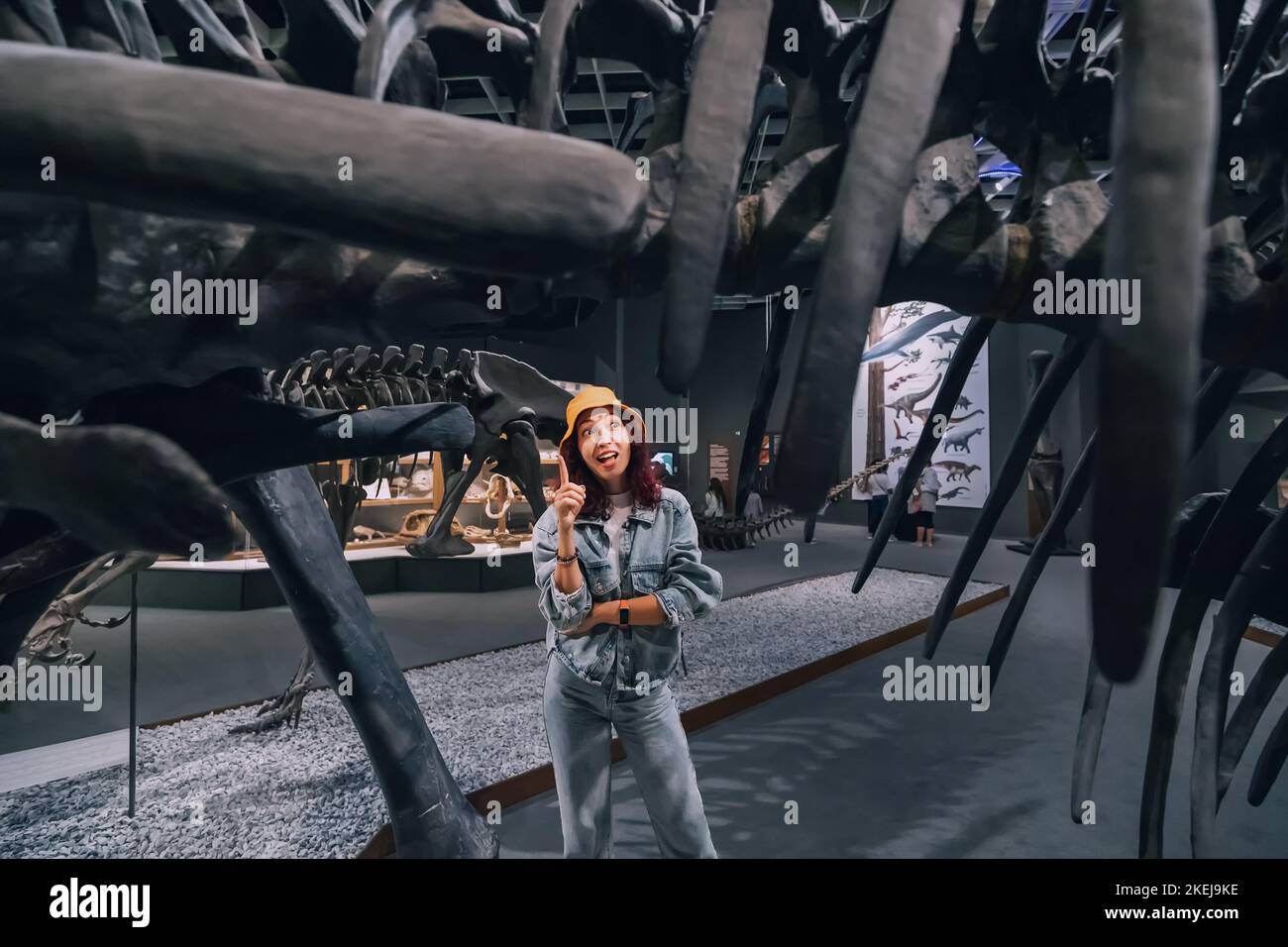 26 July 2022, Munster, Germany: Excited tourist girl or a paleontologist student looks with interest at the fossilized remains of a dinosaur skeleton Stock Photo