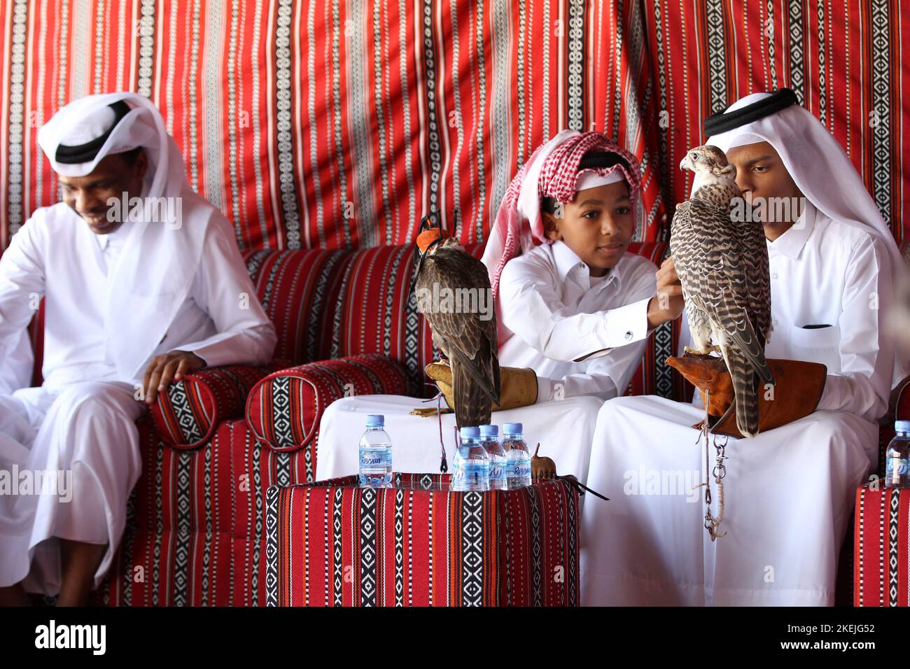 Al-Gannas Society will organize the Sixth Qatar International Falcons and Hunting Festival in Marmi area in sealine  Falkenjagd in Qatar   © diebilderwelt / Alamy Stock Stock Photo