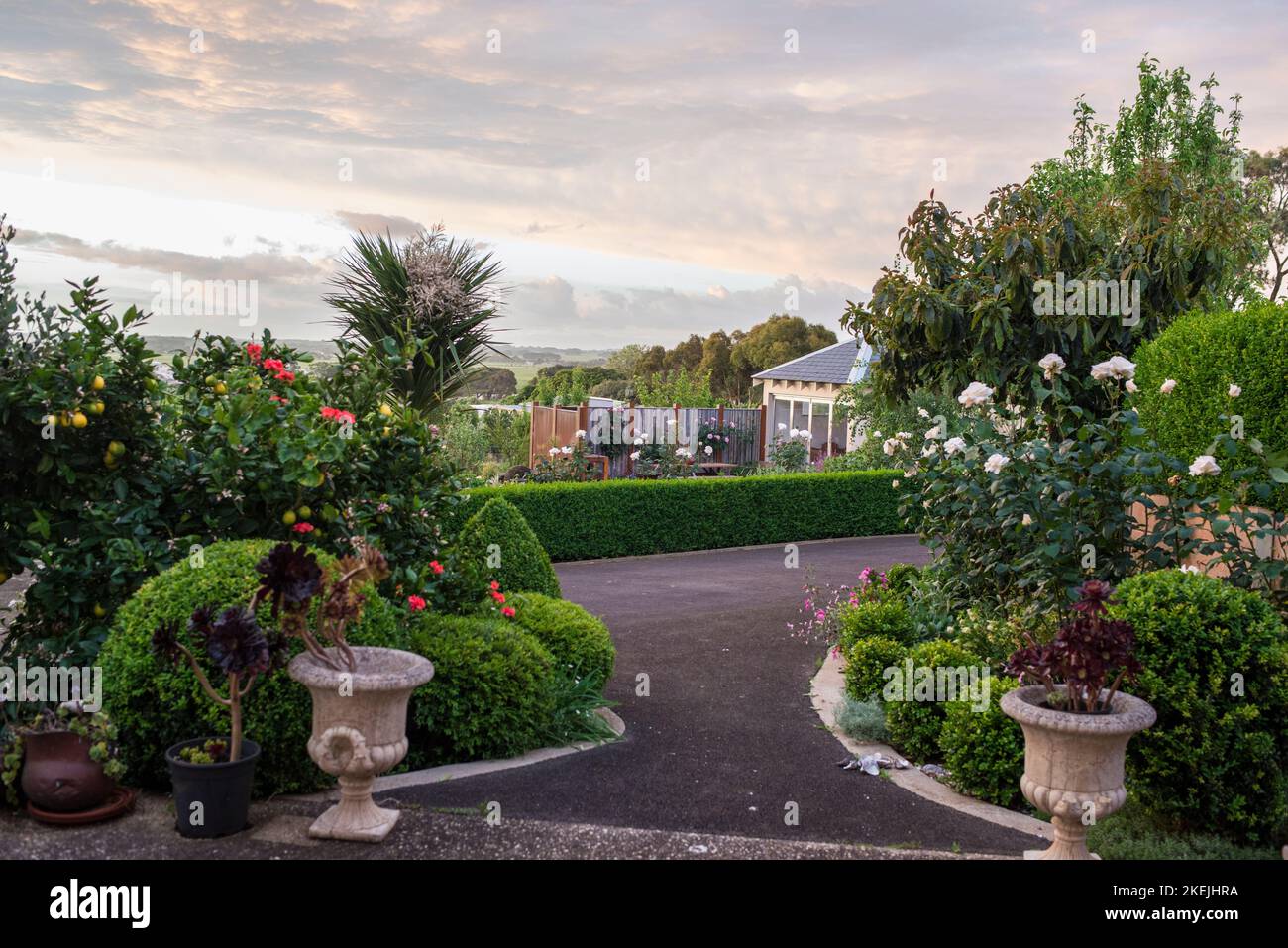 Garden path flowers australia hi-res stock photography and images - Alamy