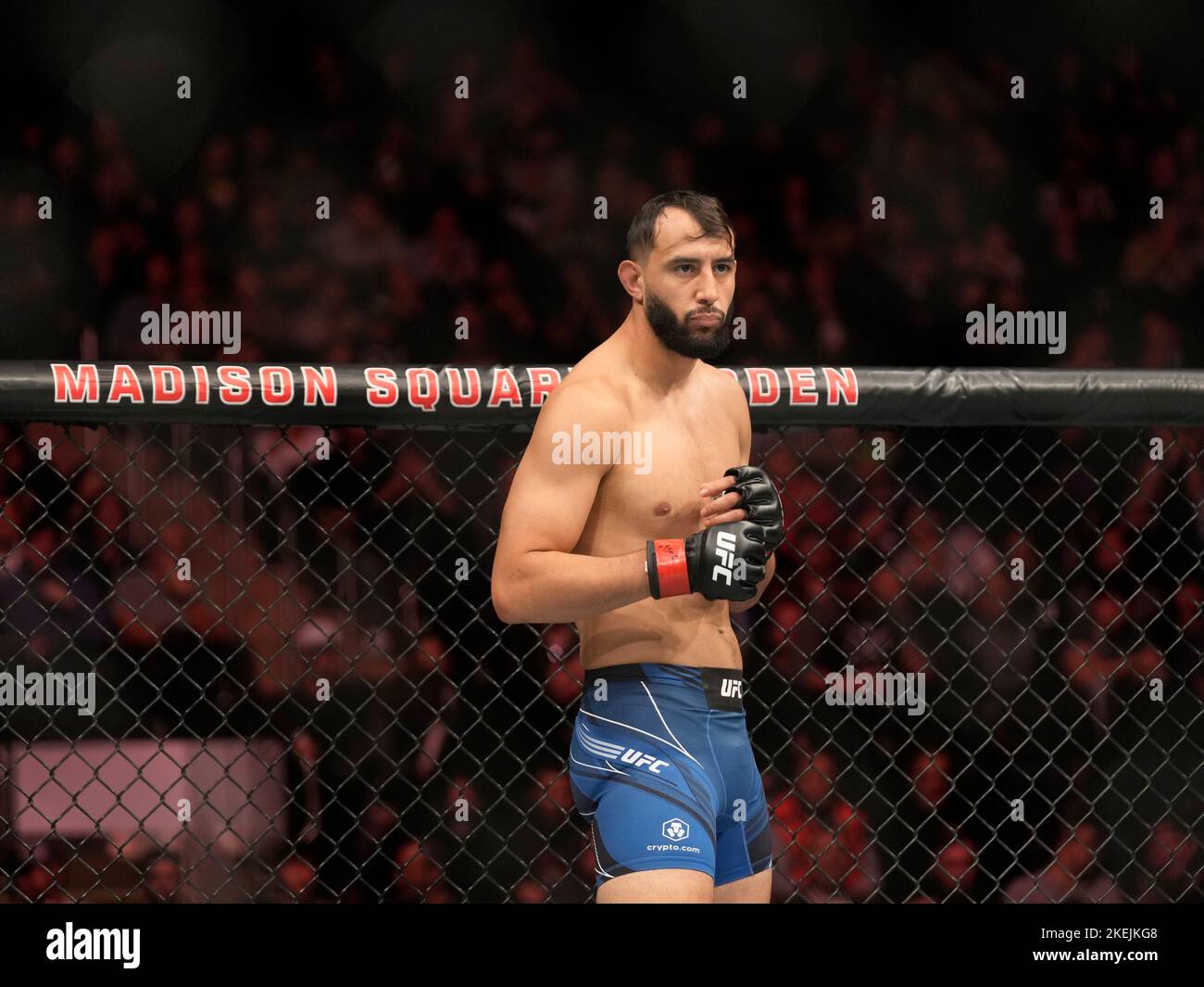 Dominick reyes ufc hi-res stock photography and images - Alamy