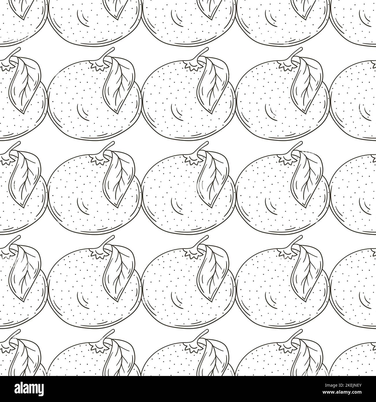 Monochrome pattern with tropical fruits. Illustration in hand draw style. Grapefruit, red orange. Can be used for fabric, packaging, wrapping and etc Stock Vector