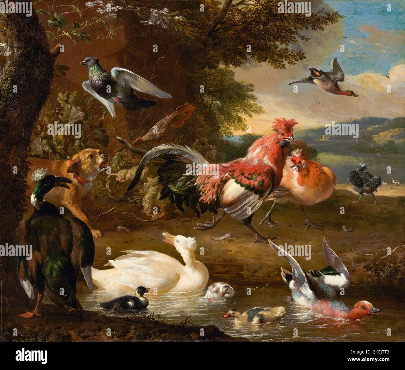 Chickens painting hires stock photography and images Alamy