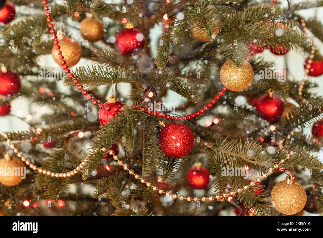 Part of a Christmas tree decorated with lights and red and gold balls Stock Photo